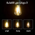 مصباح محمول قابل للشحن 3 مستويات إضاءة ومقاوم للماء 4
